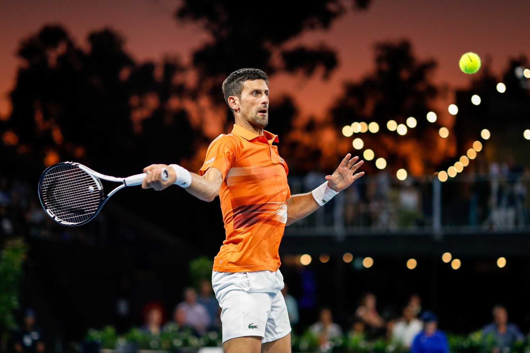 Tenista Novak Djokovič na turnaj ATP Adelaide International 1 2023 - sledujte dnes semifinále Djokovič vs Medvedev živě v online livestreamu - foto Profimedia